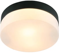Потолочный светильник ARTE LAMP A6047PL-1BK