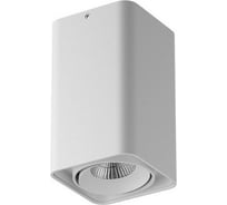 Потолочный светодиодный светильник Lightstar 052136