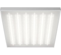 Светильник Wolta STD Микропризма ДВО11-54-002-5К