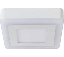 Потолочный светильник ARTE LAMP A7709PL-2WH