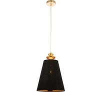 Подвес Evoluce SL1137.203.01