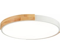 Потолочный светильник Evoluce SLE201352-01