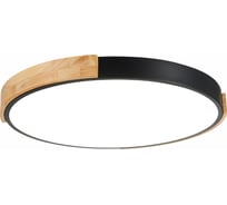 Потолочный светильник Evoluce SLE201342-01