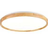 Потолочный светильник Evoluce SLE201382-01