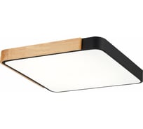 Потолочный светильник Evoluce SLE201242-01