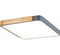 Потолочный светильник Evoluce SLE201272-01