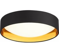Потолочный светильник Evoluce SLE201102-01