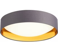 Потолочный светильник Evoluce SLE201112-01