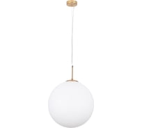 Подвесной светильник ARTE LAMP A1564SP-1PB