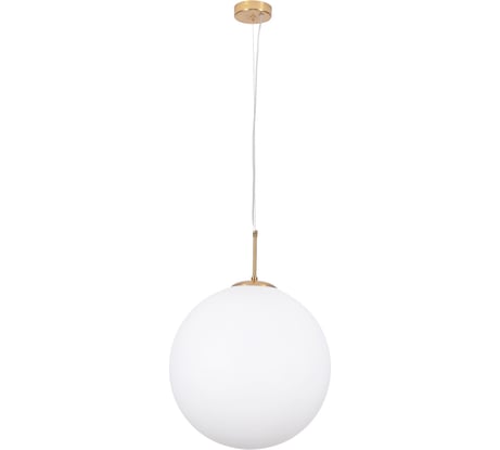 Подвесной светильник ARTE LAMP A1564SP-1PB
