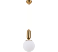 Подвесной светильник ARTE LAMP A3315SP-1PB