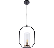 Подвесной светильик ARTE LAMP A7004SP-1BK