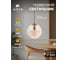 Подвесной светильник ARTE LAMP A9920SP-1PB 4