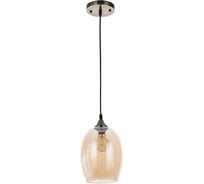 Подвесной светильник ARTE LAMP A4344SP-1AB