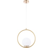 Подвесной светильник ARTE LAMP A7741SP-1AB