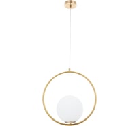 Подвесной светильник ARTE LAMP A7742SP-1AB