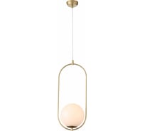 Подвесной светильник ST luce SL1118.203.01