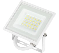 Прожектор светодиодный уличный ЭРА LPR-023-W-65K-020 20Вт 6500K IP65 белый Б0054640
