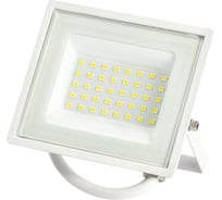 Прожектор светодиодный уличный ЭРА LPR-023-W-65K-030 30Вт 6500K IP65 белый Б0054641
