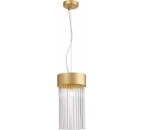 Подвесной светильник ST luce SL1225.203.01