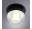 Потолочный светильник ARTE LAMP A7249PL-1BK 2