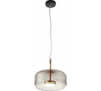 Подвесной светильник ST luce SL1053.243.01