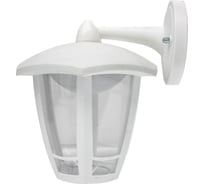 Садово-парковый светильник Apeyron светодиодный, настенный вниз, 8Вт, 6-ти гранный, 720Лм, 6500К 11-192