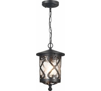 Подвесной уличный светильник ST luce SL085.403.01
