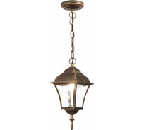 Подвесной уличный светильник ST luce SL082.203.01