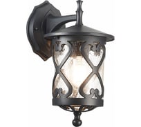 Настенный уличный светильник ST luce SL085.411.01