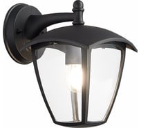 Настенный уличный светильник ST luce SL081.411.01