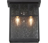Настенный уличный светильник ST luce SL079.401.02