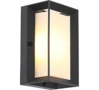 Настенный уличный светильник ST luce SL077.411.01