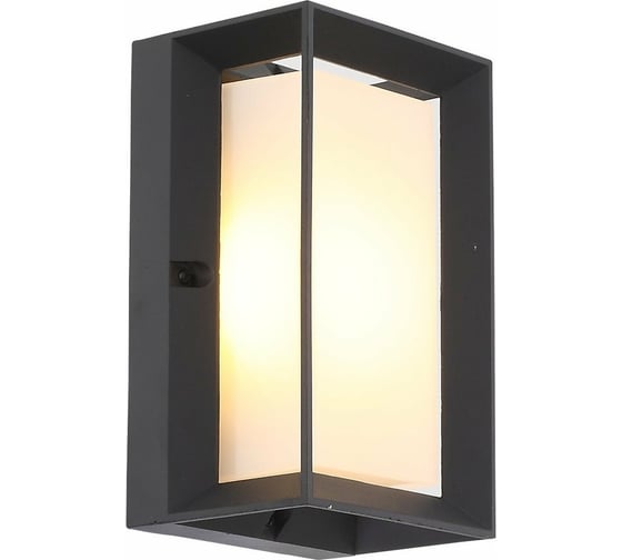 Настенный уличный светильник ST luce SL077.411.01 1