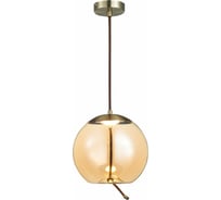 Подвесная люстра ST luce SL6108.313.01