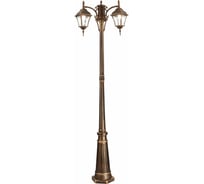 Наземный уличный светильник ST luce SL082.205.03