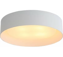 Потолочный светильник ST luce SL392.502.04