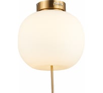 Потолочный светильник ST luce SL1621.202.01