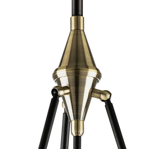 Люстра на штанге Lightstar 816037