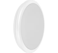 Светильник IEK LED ДПБ 3009 40Вт, IP54, 4000K, круг, белый LDPB0-3009-40-4000-K01
