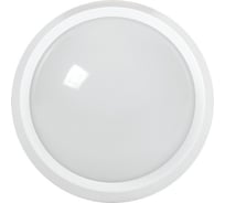 Светильник IEK LED ДПО 5051 18Вт, 6500К, IP65, круг, белый LDPO0-5051-18-6500-K01 21350614