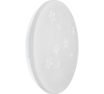 Светильник IEK LED ДПБ 2003 12Вт, IP20, 4000К, круг, белый LDPB0-2003-12-4000-K01