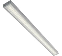 Светильник светодиодный, Wolta PRO защита от пыли IP40, рассеиватель микропризматический, цветовая температура 4000К дневной белый, артикул ДПО01-36-202-4К