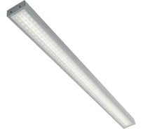 Светильник Wolta PRO светодиодный, рассеиватель микропризматический, защита от пыли IP40, холодный белый свет 5000К, артикул ДПО01-36-202-5К