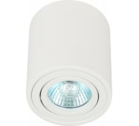 Настенно-потолочный поворотный светильник спот ЭРА OL21 WH MR16/GU10, белый, Б0054392