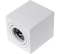 Настенно-потолочный светильник спот ЭРА OL22 WH MR16/GU10, белый, поворотный Б0054394