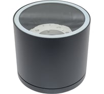 Настенно-потолочный светильник спот ЭРА WL40 GR GX53, серый, IP54 Б0054416