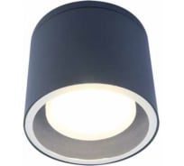 Настенно-потолочный светильник спот ЭРА WL40 GR GX53, серый, IP54 Б0054416