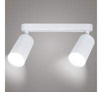 Поворотный накладной светильник Ritter Arton цилиндр, алюминий, 55x100x260, 2хGU10, белый 59989 0