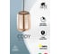 Светильник ARTE LAMP CODY A7766SP-1AB 5